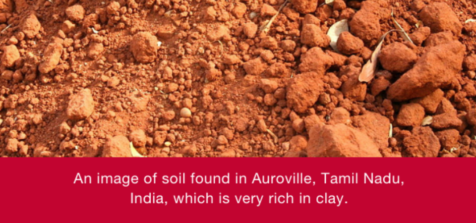 Image of soil found in Auroville, Tamil Nadu