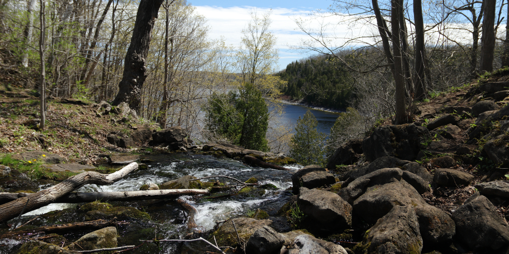 Scenic view of a stream in Milton, Ontario