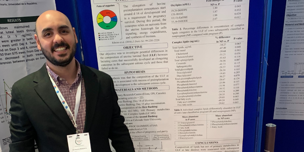 Guilherme Madureira, PhD candidate in the Department of Animal Biosciences at the University of Guelph, showcased his research at the 11th International Ruminant Reproduction Symposium from May 28 to June 1, 2023, in Galway, Ireland.