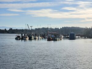 Fishing boats moored in Sooke, British Columbia (Photo by: Jennifer Silver)