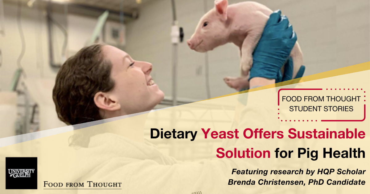 Brenda holding a piglet up with text that reads "dietary yeast offers sustainable solutions for pig health". Featuring research by HQP Scholar Brenda Christensen, PhD Candidate.