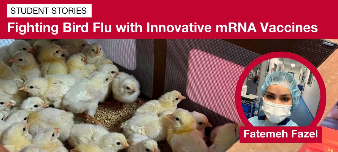 Fighting Bird Flu with Innovative mRNA Vaccines.